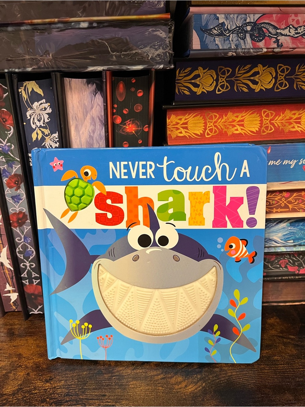 Never Touch a Shark! Board Book - Colorful Kids' Shark Book